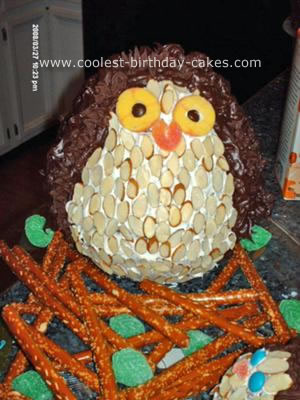 Birthday Hoot Owl Cake