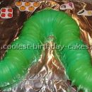 Amazing Cake Ideas for Hungry Caterpillar Cakes