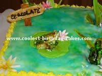 Animal Birthday Cakes - Flamingo