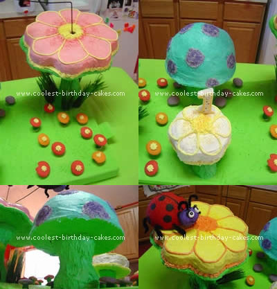 Animated Ladybug Birthday Cake Idea