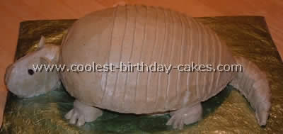 Armadillo Cake Photo