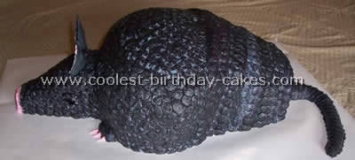 armadillo cake