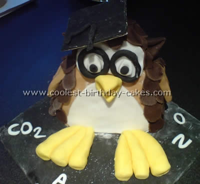 Owl Birthday Cake Decorating Idea