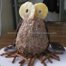 Coolest Owl-Shaped Birthday Cake Decorating Idea