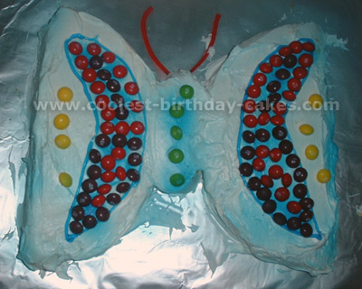 Butterfly Cake Photo