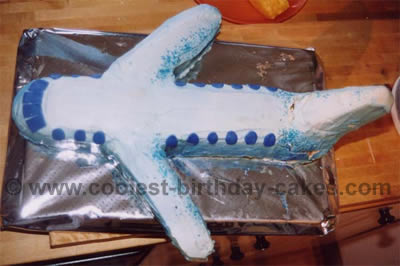 Airplane Cake Photo