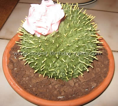 Cactus Cake Decorating Tips