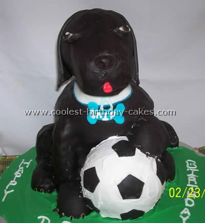 Coolest Dog Cake