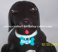 Coolest Dog Cake