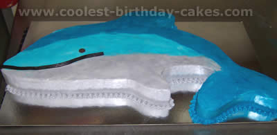 Dolphin Picture Birthday Cake