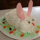 Coolest Easter Bunny Cake Ideas, Photos and How-To Tips