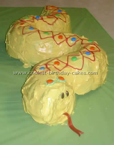 Homemade Snake Birthday Cake