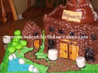Homemade Hogwarts Harry Potter Cake
