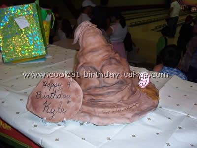 Cool Homemade Harry Potter Cake Photos and Tips