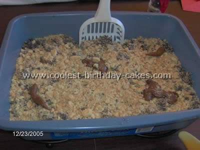 Kitty Litter Cake Photo