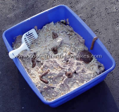 Coolest Kitty Litter Cake Photos