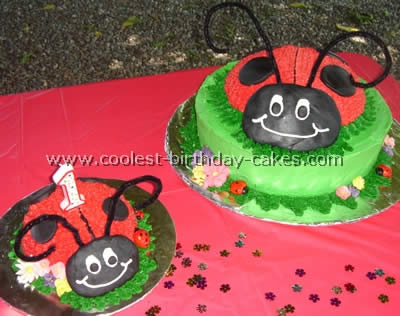 Homemade Ladybug Birthday Cake