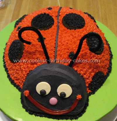 Homemade Ladybug Birthday Cake