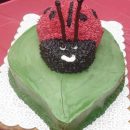 Coolest Lady Bug Cake Photos