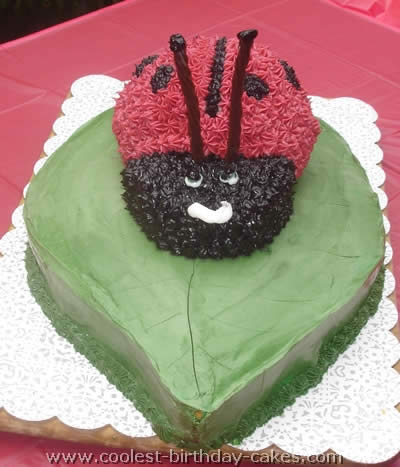 Coolest Lady Bug Cake Photos