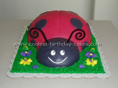 Ladybug Cake Photo