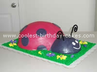 Ladybug Cake Photo