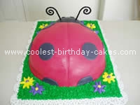 Ladybug Cake Photo