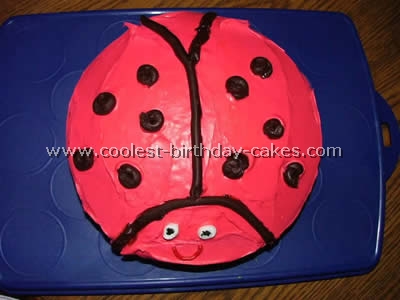 Ladybug Cake Photo