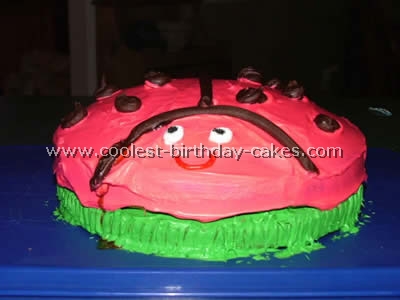 Ladybug Cake Photo