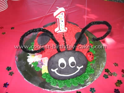 Ladybug Cake Photo