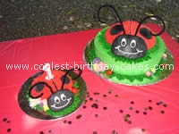 Ladybug Cake Photo