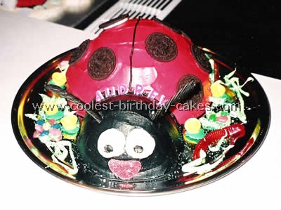 Ladybug Cake Photo