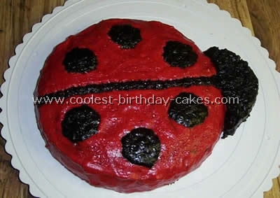 Ladybug Cake Photo