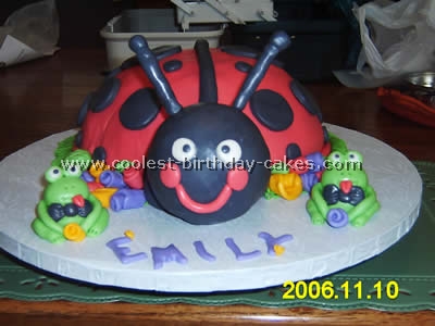 Ladybug Cake Photo