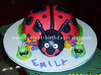 Ladybug Cake Photo