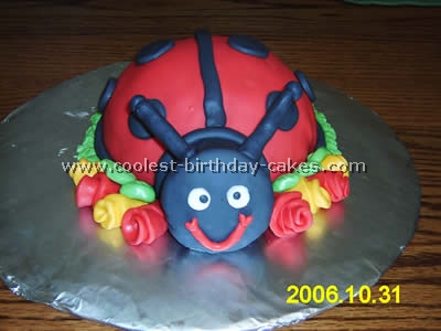 Ladybug Cake Photo