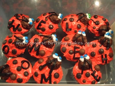 Ladybug Cake Photo