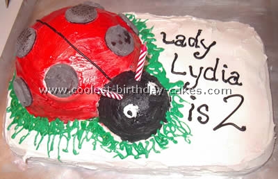 Ladybug Cake Photo