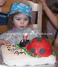 Ladybug Cake Photo