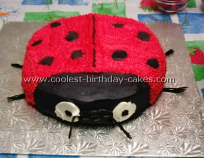 Ladybug Cake Photo