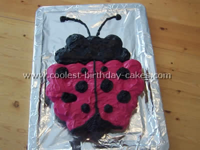 Coolest Ladybug Birthday Cake Photos and How-To Tips