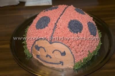 Homemade Ladybug Birthday Cake