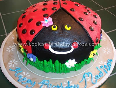 Homemade Ladybug Birthday Cake