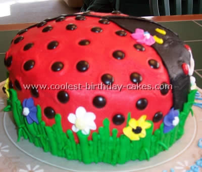 Homemade Ladybug Birthday Cake