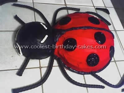 Homemade Ladybug Birthday Cake