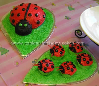 Homemade Ladybug Birthday Cake