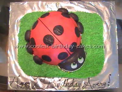 Homemade Ladybug Birthday Cake