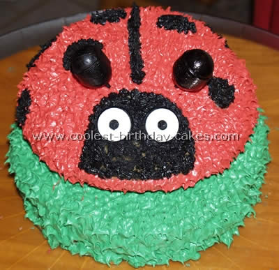 Homemade Ladybug Birthday Cake