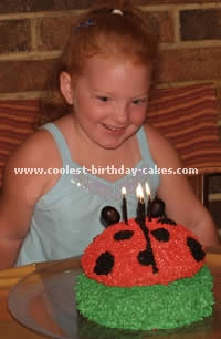 Homemade Ladybug Birthday Cake