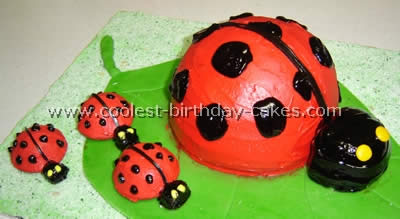 Homemade Ladybug Birthday Cake